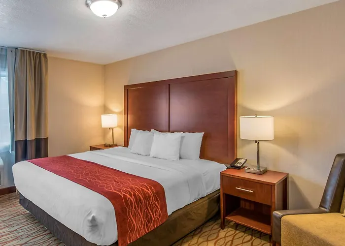 Comfort Inn Central Weed