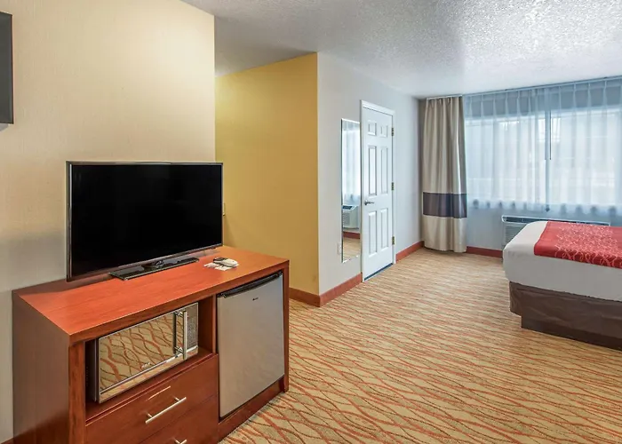 Comfort Inn Central Weed